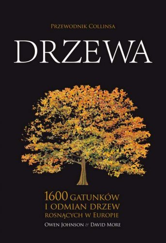 książki dla dzieci