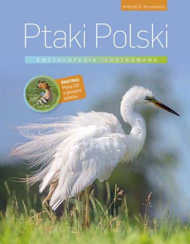 książki dla dzieci