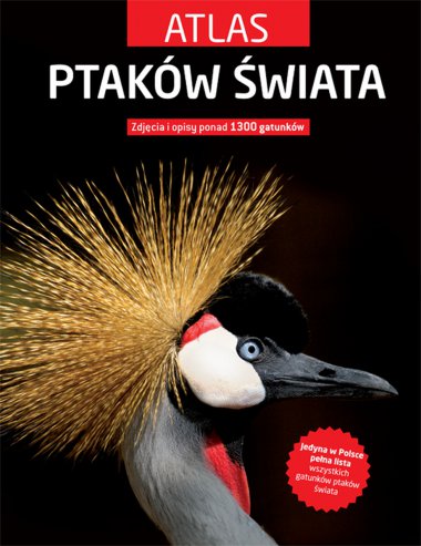 książki dla dzieci