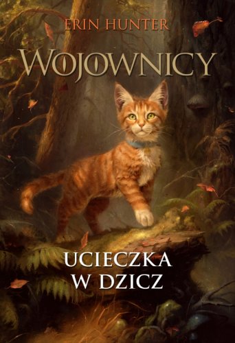 książki dla dzieci