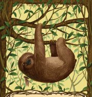 książki dla dzieci